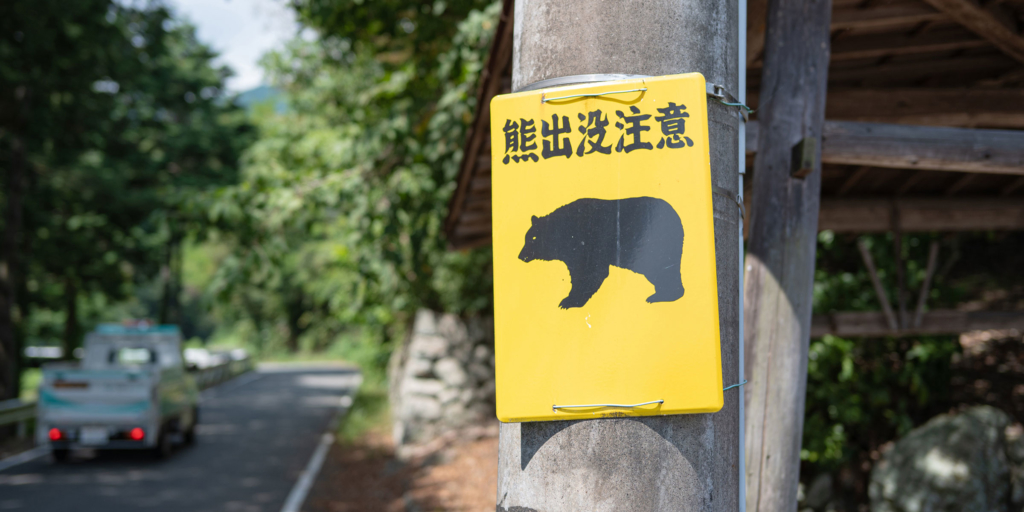 Thumbnail of post image 101